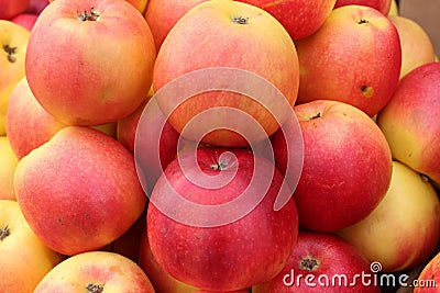 Juicy, fragrant apples to be used for the pie Stock Photo