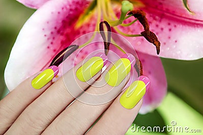 Juicy French manicure. Stock Photo