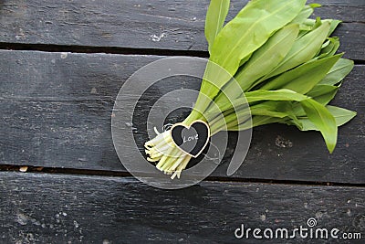 Juicy and fresh ramson leaves Stock Photo