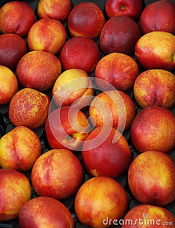Juicy Fruit Stock Photo