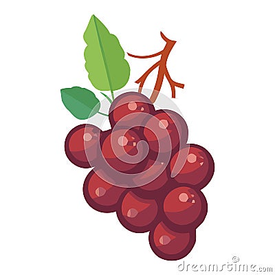 Juicy grape bunch, ripe for gourmet dessert Vector Illustration