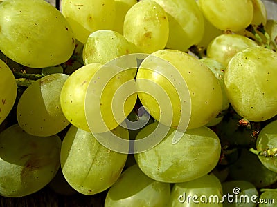 Juicy Grapes Stock Photo