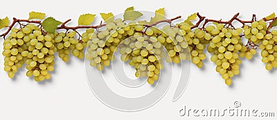 Juicy grapes banner top frame Stock Photo