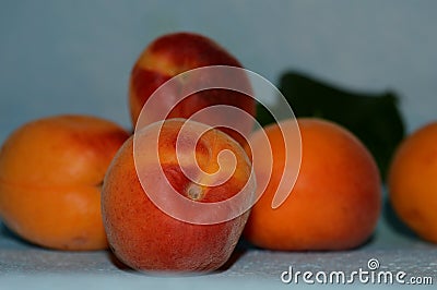 Juicy and homemade apricots Stock Photo