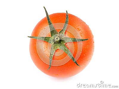 Juicy Isolated Tomato in white background Stock Photo