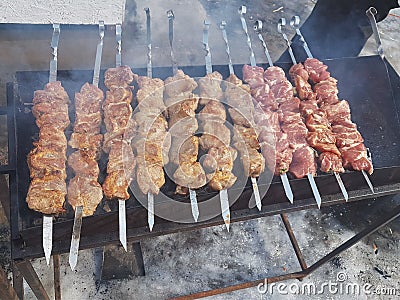 Juicy marinated in spices meat kebab on skewers, cooked and fried on a fire and charcoal barbecue grill, in the nature of snowy Stock Photo