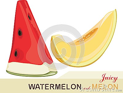 Juicy melon and watermelon. Icon for design Vector Illustration