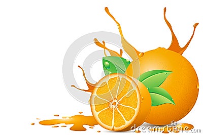 Juicy Orange Vector Illustration