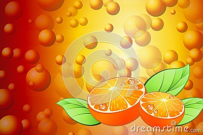 Juicy Orange Vector Illustration