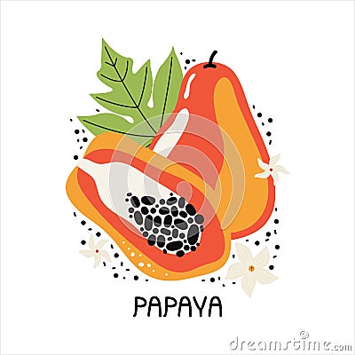 Juicy orange papaya with leaves and flowers. Hand drawn slice of tropical fruit with flesh and seeds. Vector flat Vector Illustration