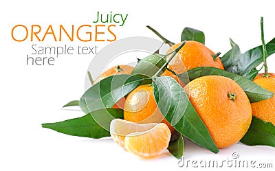 Juicy oranges Stock Photo