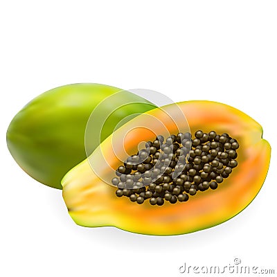 Juicy ripe papaya and half papaya Vector Illustration