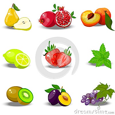 Juicy ripe pomegranate Vector Illustration