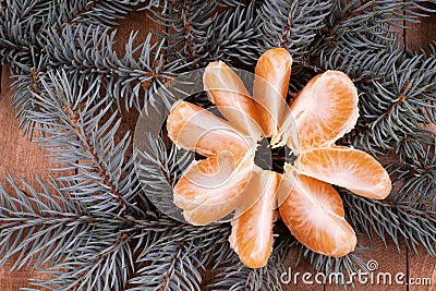 Juicy, ripe tangerine, divided into slices, is on the spruce branches Stock Photo