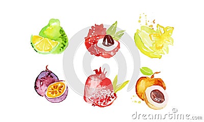 Juicy Ripe Tropical Fruit Collection, Pomelo, Lychee, Carambola, Pomegranate, Mangosteen, Peach Watercolor Hand Painting Vector Illustration