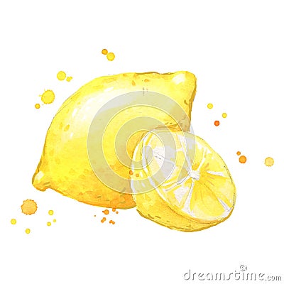 Juicy ripe yellow lemon watercolor ilustration Vector Illustration