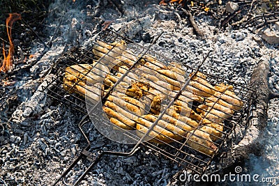 Juicy roasted kebabs Stock Photo