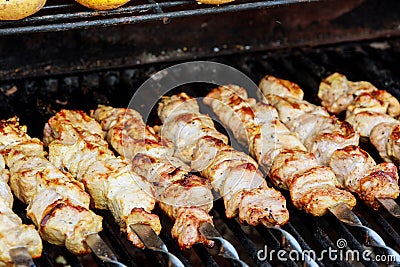 Juicy roasted kebabs on the BBQ Stock Photo