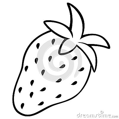 Juicy strawberries. Sketch. Vector stock illustration. Outline on an isolated background. Doodle style. Ripe berry. Vector Illustration