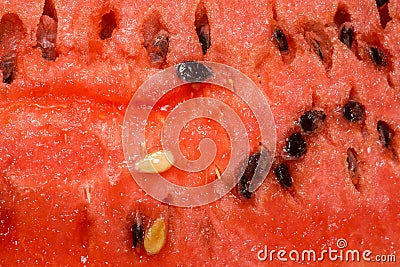 Juicy Watermelon Flesh Stock Photo