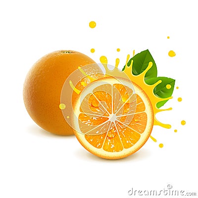 Juicy Whole Orange and Half Orange Vector Illustration