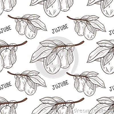 Jujube. Berries, leaves. Background, texture. Seamless. Monochrome Vector Illustration