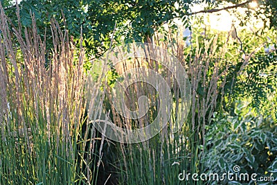 Julius M Kleiner Memorial Park at Sunset Stock Photo