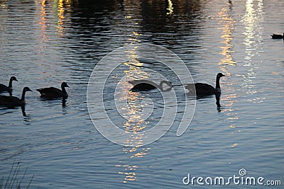 Julius M Kleiner Memorial Park at Twilight Stock Photo