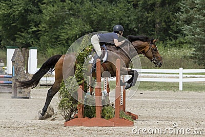 Jumper Rider over and Triple Oxer Stock Photo