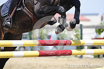 Jumping horse Stock Photo