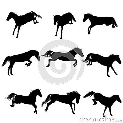 Jumping horses Vector Illustration