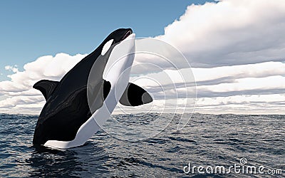 Jumping killer whale Cartoon Illustration