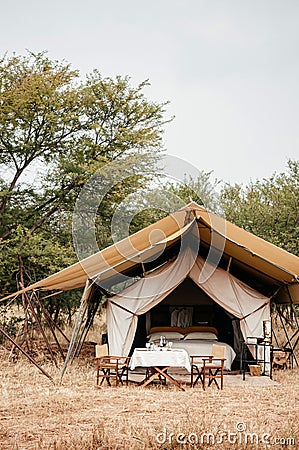 Luxury Safari tent camp in Serengeti Savanna forest - Glamping travel in Africa wild forest Editorial Stock Photo