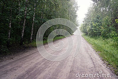 June dawn, misty landscape, empty road among trees Stock Photo