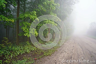 June dawn, misty morning, landscape with road and trees Stock Photo