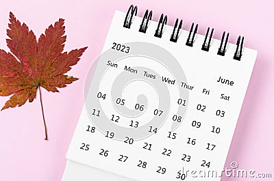 The June 2023 desk calendar for 2023 year with autumn maple leaf on pink color background Stock Photo