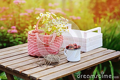 June or july garden scene with fresh picked organic wild strawberry and chamomile flowers on wooden table outdoor Stock Photo