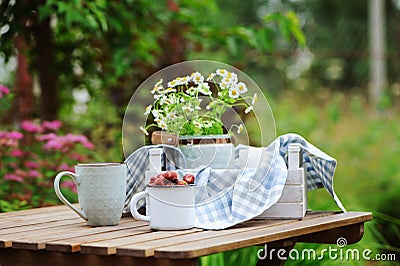 June or july garden scene with fresh picked organic wild strawberry and chamomile flowers on wooden table outdoor Stock Photo