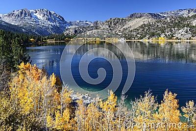 June Lake Fall Colors Stock Photo