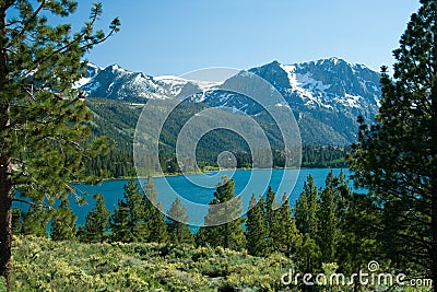 June Lake Loop Stock Photo