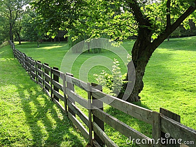 June Landscape Stock Photo