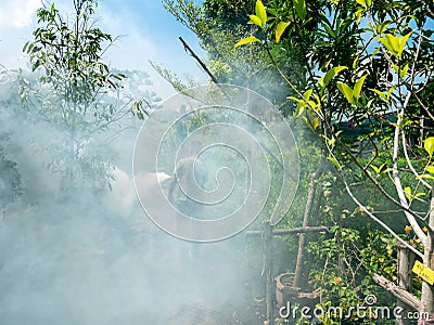 Man Sprays White Smoke to Repel Mosquito Bites Editorial Stock Photo