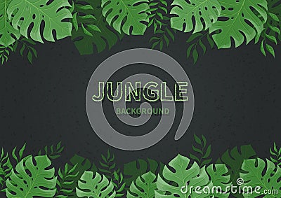 Jungle background. Tropic palm leaves, branches on a black background. Green monstera leaf. Text space. Vector Illustration