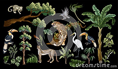 Jungle birds and animals isolated. Vector interior print. Vector Illustration