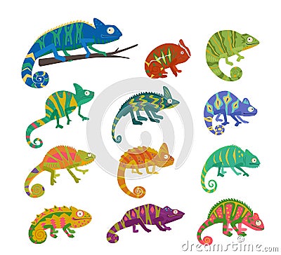 jungle chameleons set. snakes animals, different colored desert lizard reptiles. vector cartoon flat illustrations. Cartoon Illustration