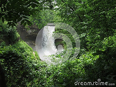 Jungle Falls Stock Photo