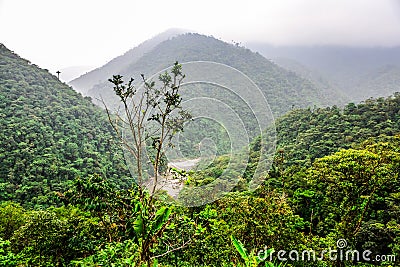 Landscape jungle in Amazonia of Ecuador Stock Photo