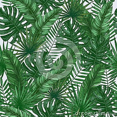 Tropical leaves seamless pattern. Jungle green background. Stock Photo