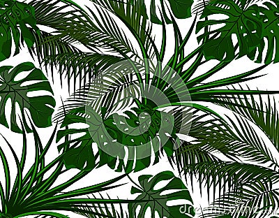 Jungle. Green leaves of tropical palm trees. Monster, agave. Seamless. Isolated on white background. illustration Vector Illustration