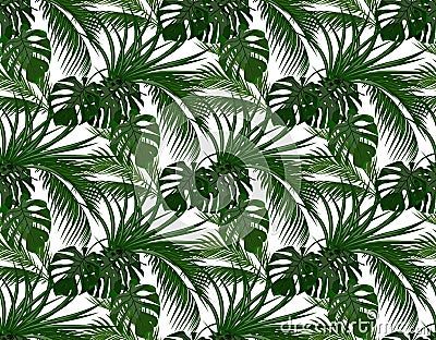 Jungle. Green leaves of tropical palm trees, monstera, agave. Seamless. Isolated on white background. illustration Vector Illustration